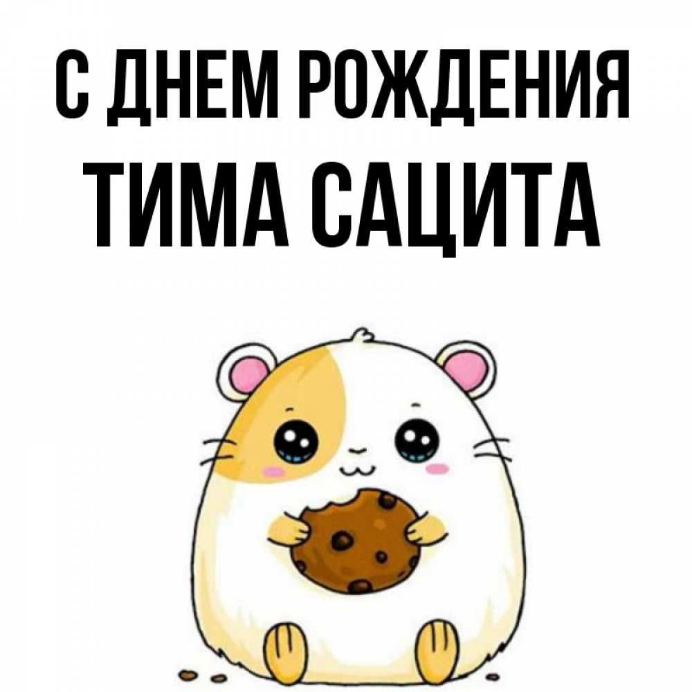 С днем рождения тима