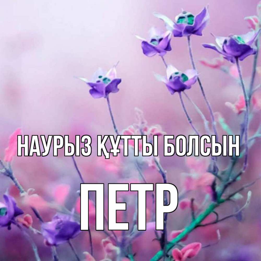 Открытка на каждый день с именем, Петр Наурыз құтты болсын наурыз  2 Прикольная открытка с пожеланием онлайн скачать бесплатно 