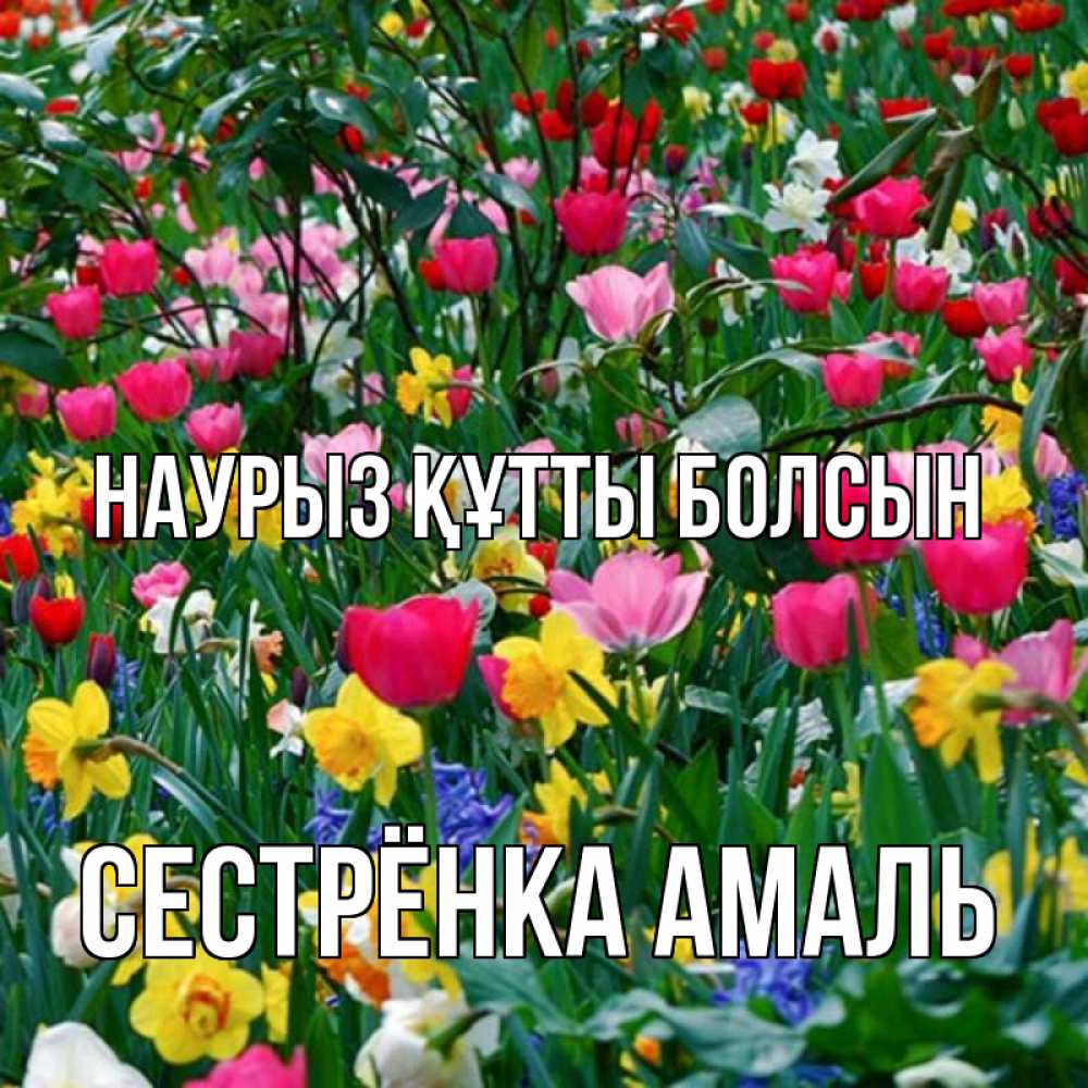 Открытка на каждый день с именем, Сестрёнка-Амаль Наурыз құтты болсын с наурызом поздравления для женщины Прикольная открытка с пожеланием онлайн скачать бесплатно 