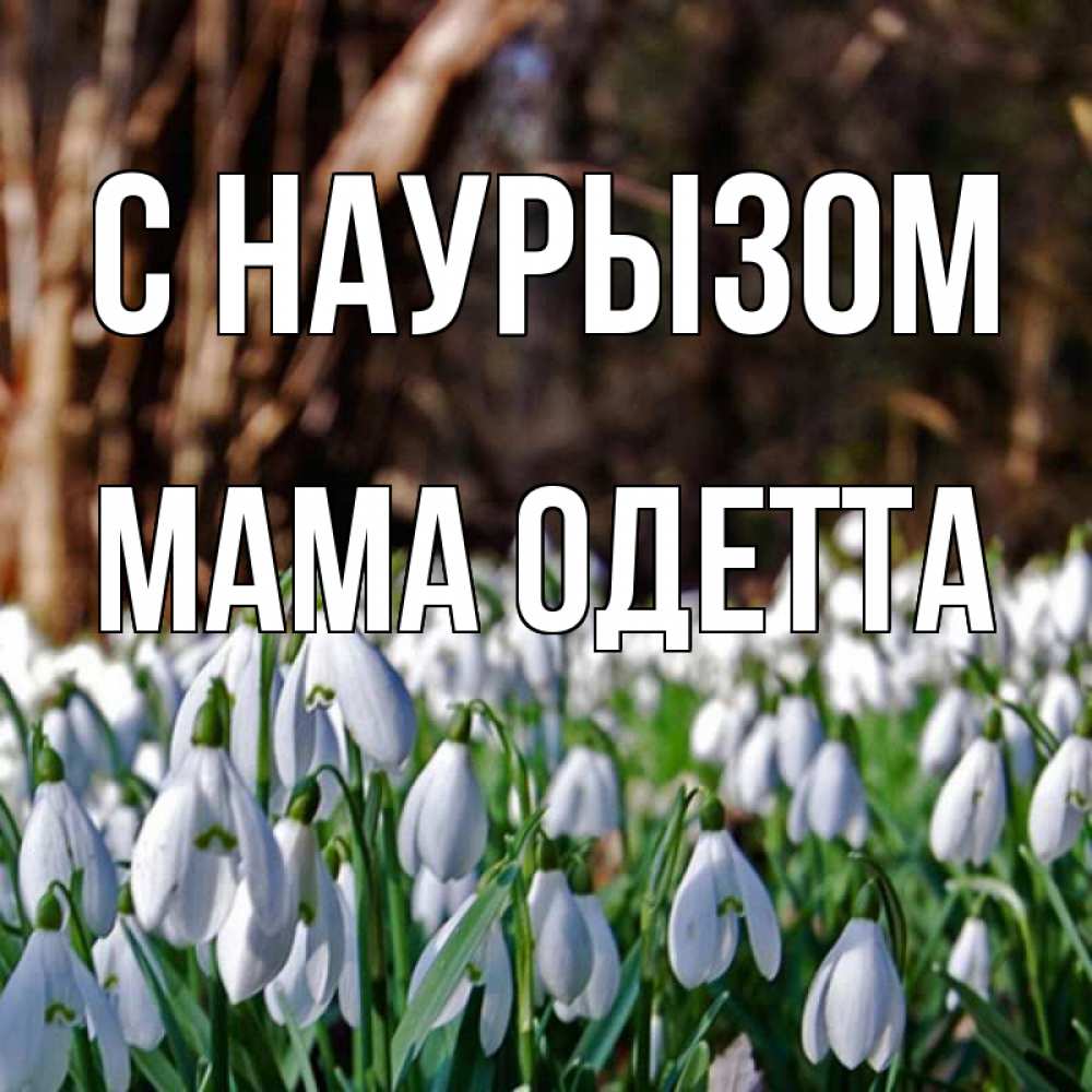 Открытка на каждый день с именем, Мама-Одетта С наурызом с подснежниками 1 Прикольная открытка с пожеланием онлайн скачать бесплатно 