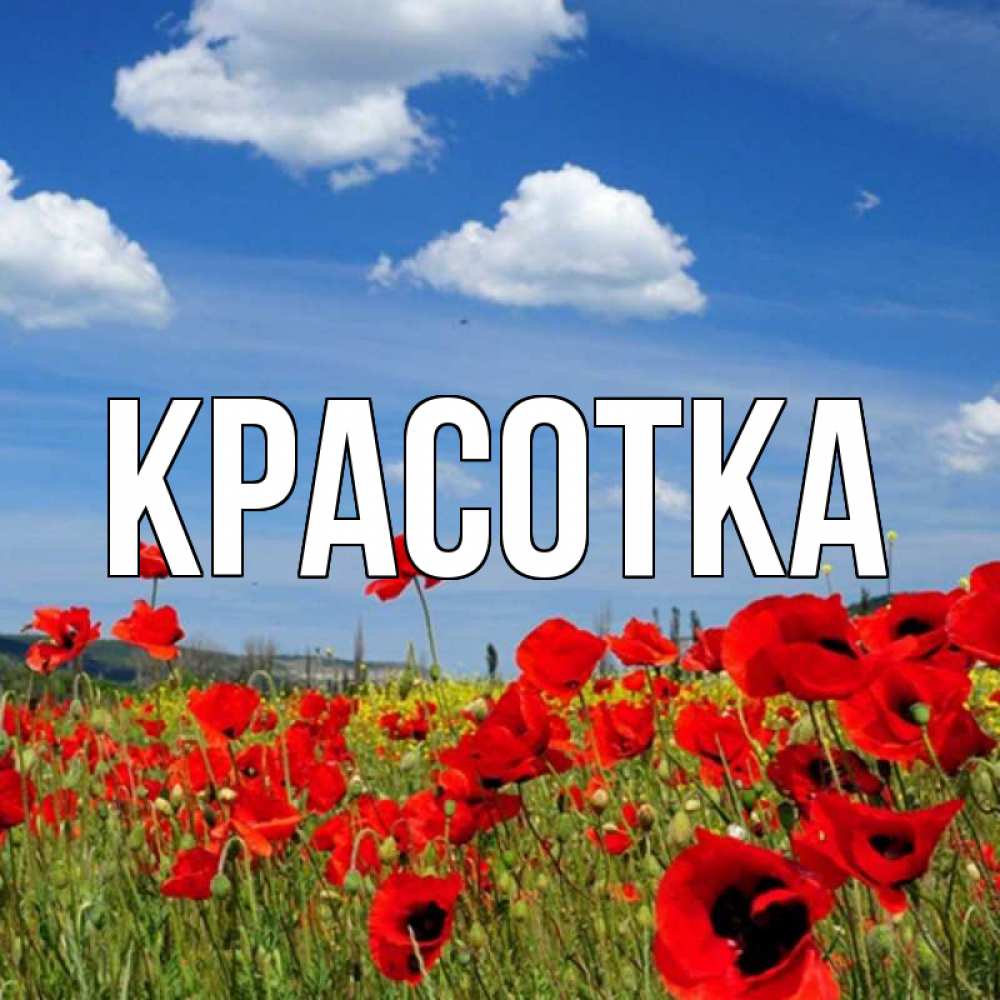 Открытка на каждый день с именем, красотка Главная праздник весны наурыз очень красивая картинка Прикольная открытка с пожеланием онлайн скачать бесплатно 