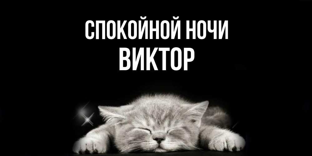 Открытка на каждый день с именем, Виктор Спокойной ночи спящий котик Прикольная открытка с пожеланием онлайн скачать бесплатно 