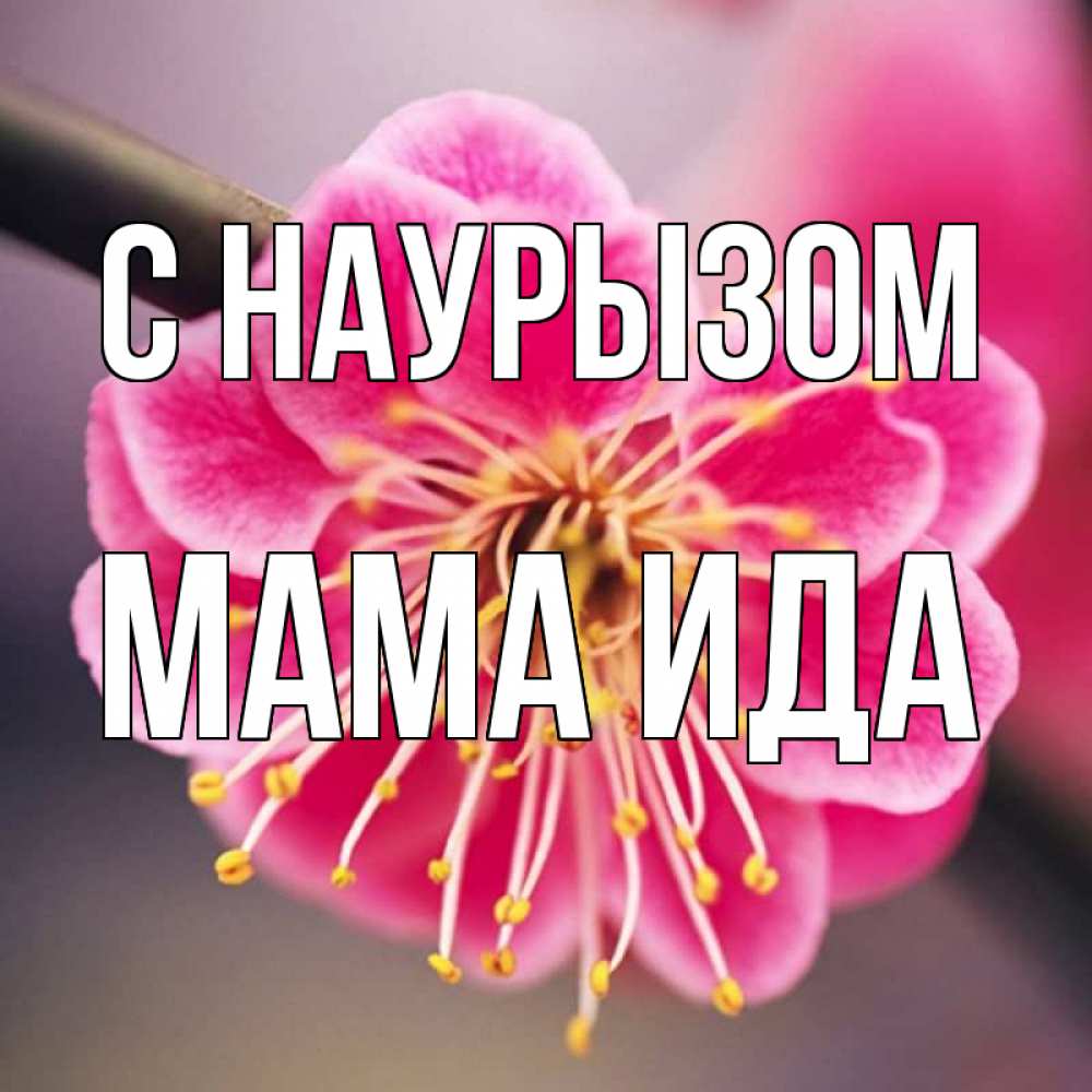 Открытка на каждый день с именем, Мама-Ида С наурызом цветы Прикольная открытка с пожеланием онлайн скачать бесплатно 