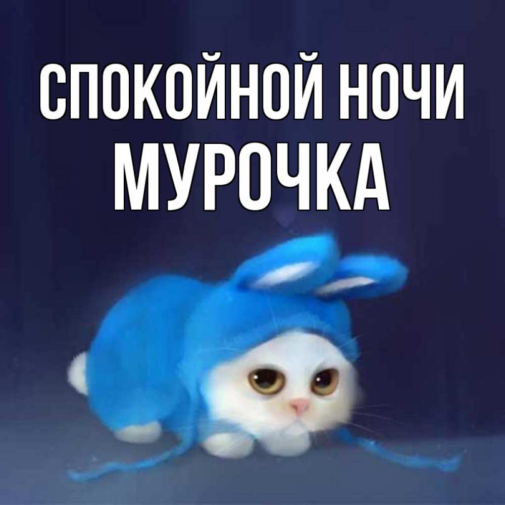 Открытка на каждый день с именем, Мурочка Спокойной ночи кот в голубом костюме кролика с ушками Прикольная открытка с пожеланием онлайн скачать бесплатно 