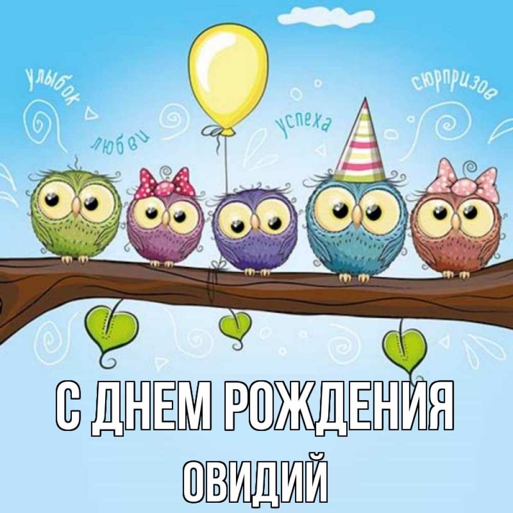Открытка на каждый день с именем, Овидий С днем рождения совы Прикольная открытка с пожеланием онлайн скачать бесплатно 