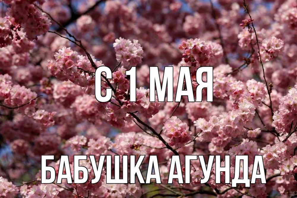 Открытка на каждый день с именем, Бабушка-Агунда С 1 мая С 1 мая Прикольная открытка с пожеланием онлайн скачать бесплатно 