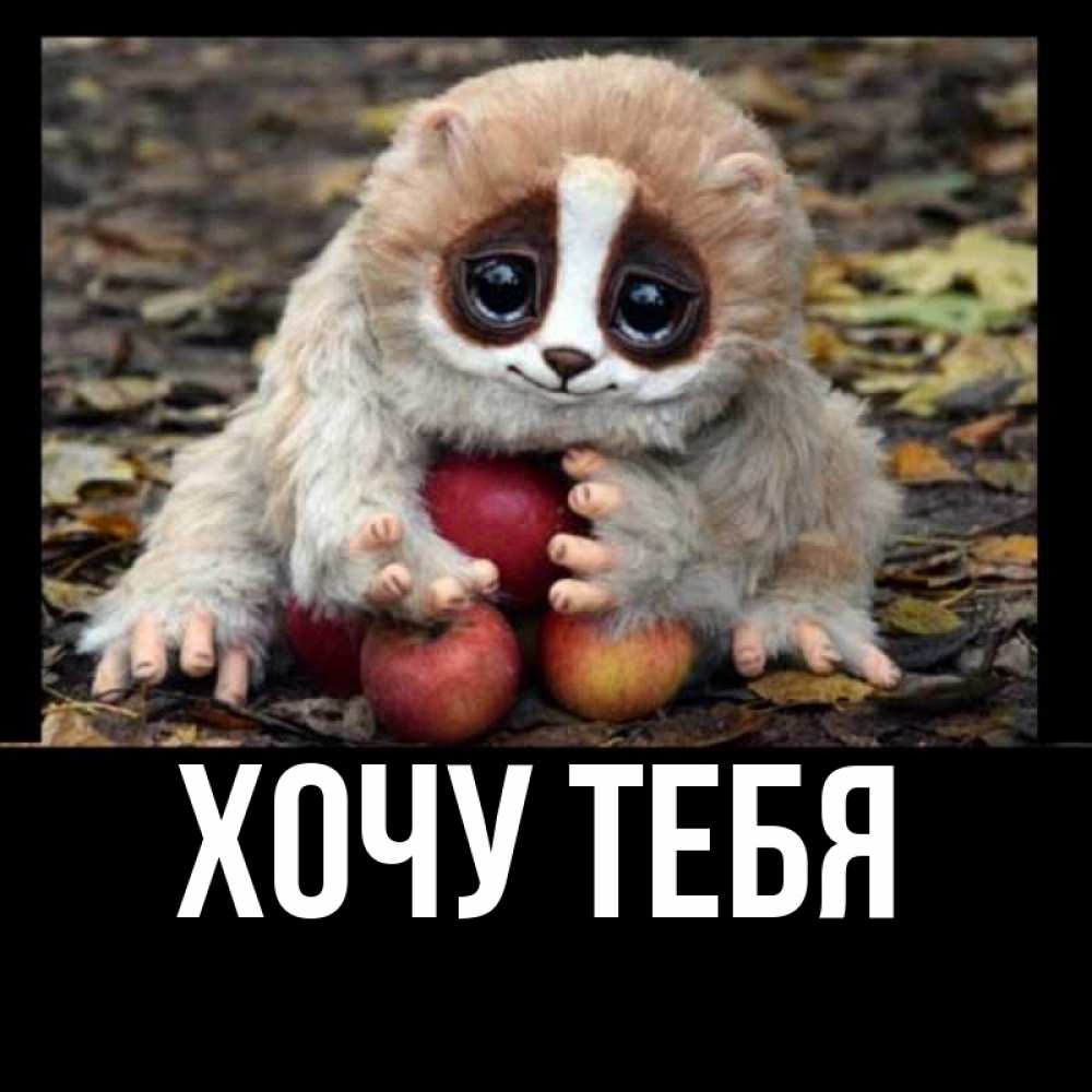 Открытка на каждый день с именем, Хочу-тебя Главная прикольное животное Прикольная открытка с пожеланием онлайн скачать бесплатно 