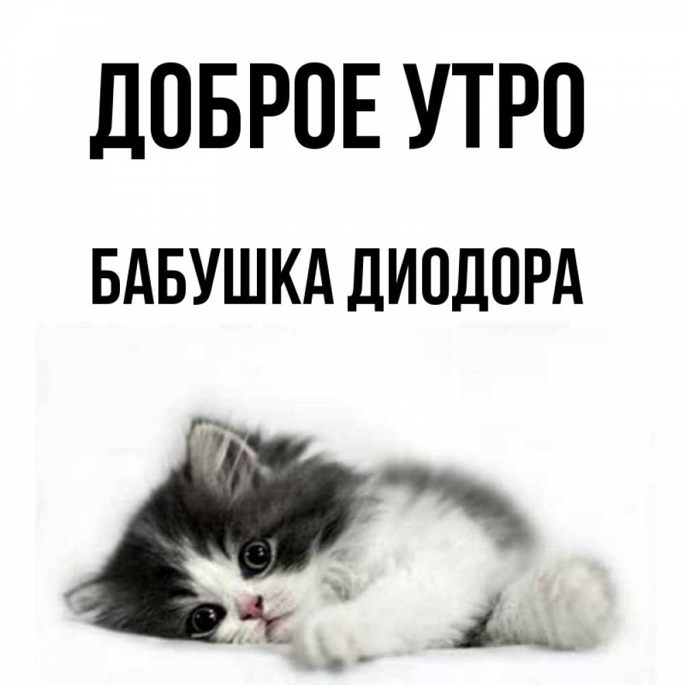 Открытка на каждый день с именем, Бабушка-Диодора Доброе утро кот лапки Прикольная открытка с пожеланием онлайн скачать бесплатно 
