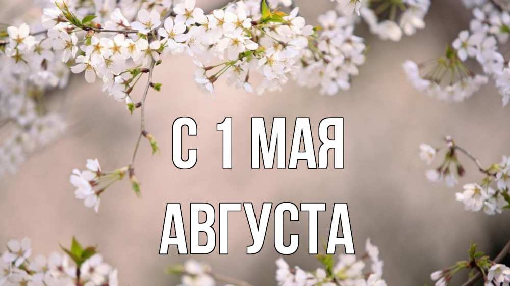 Открытка на каждый день с именем, Августа С 1 мая С 1 мая Прикольная открытка с пожеланием онлайн скачать бесплатно 