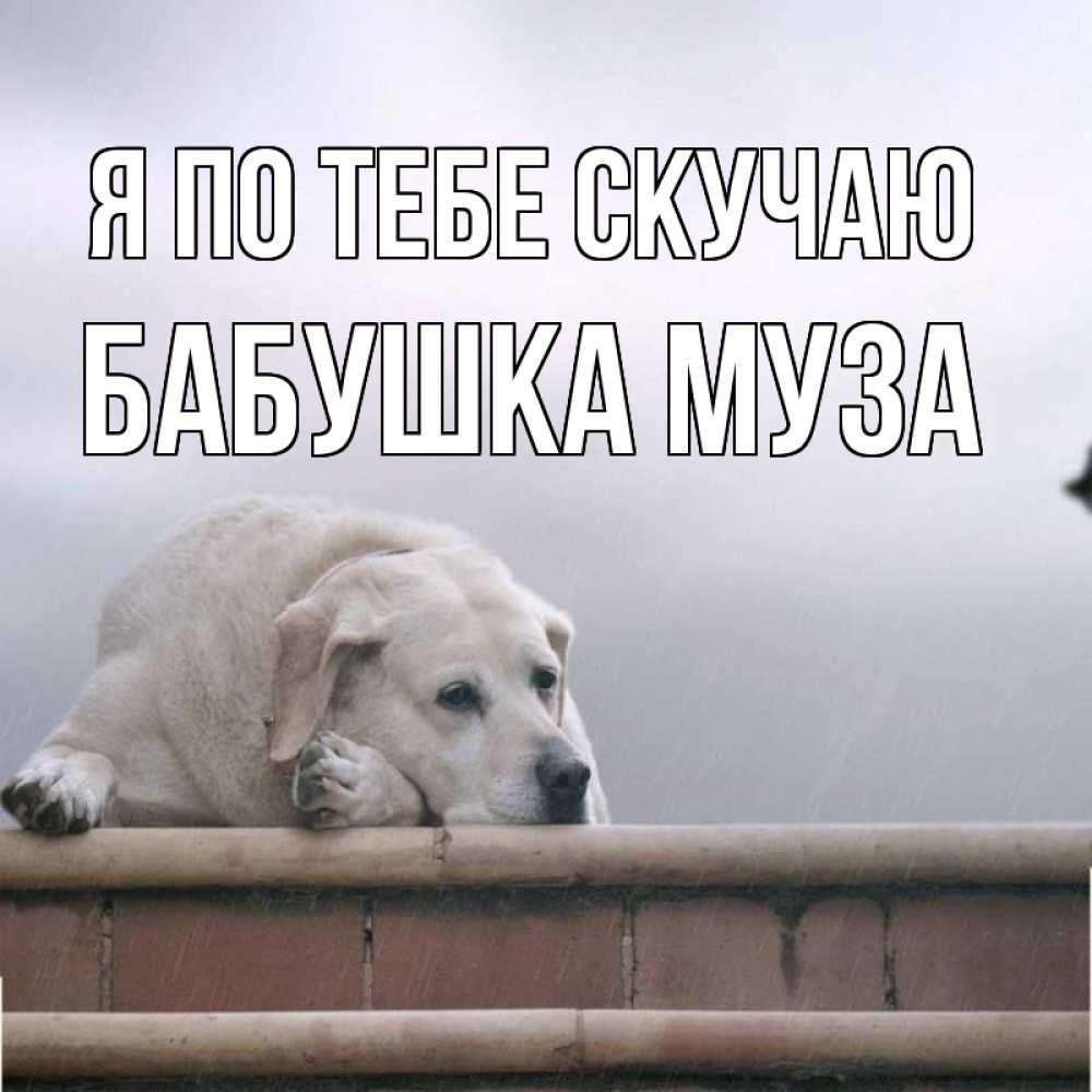 Открытка на каждый день с именем, Бабушка-Муза Я по тебе скучаю ждет Прикольная открытка с пожеланием онлайн скачать бесплатно 