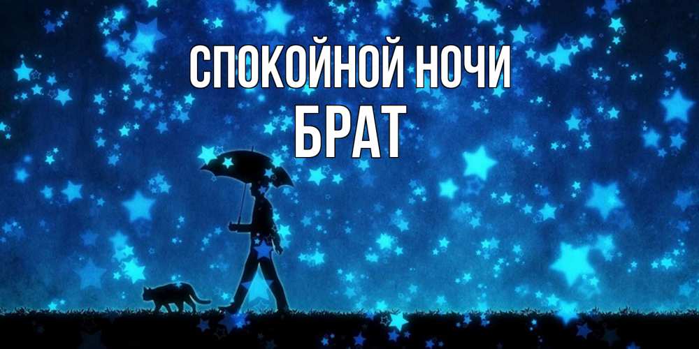 Открытка на каждый день с именем, Брат Спокойной ночи ночные прогулки с котом под звездами Прикольная открытка с пожеланием онлайн скачать бесплатно 