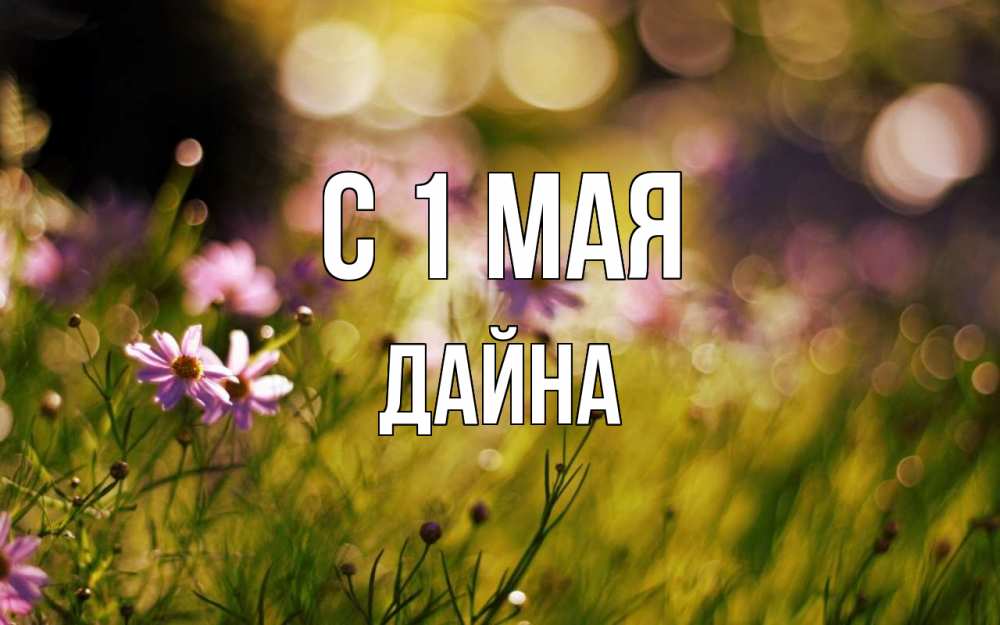 Открытка на каждый день с именем, Дайна С 1 мая С 1 мая Прикольная открытка с пожеланием онлайн скачать бесплатно 