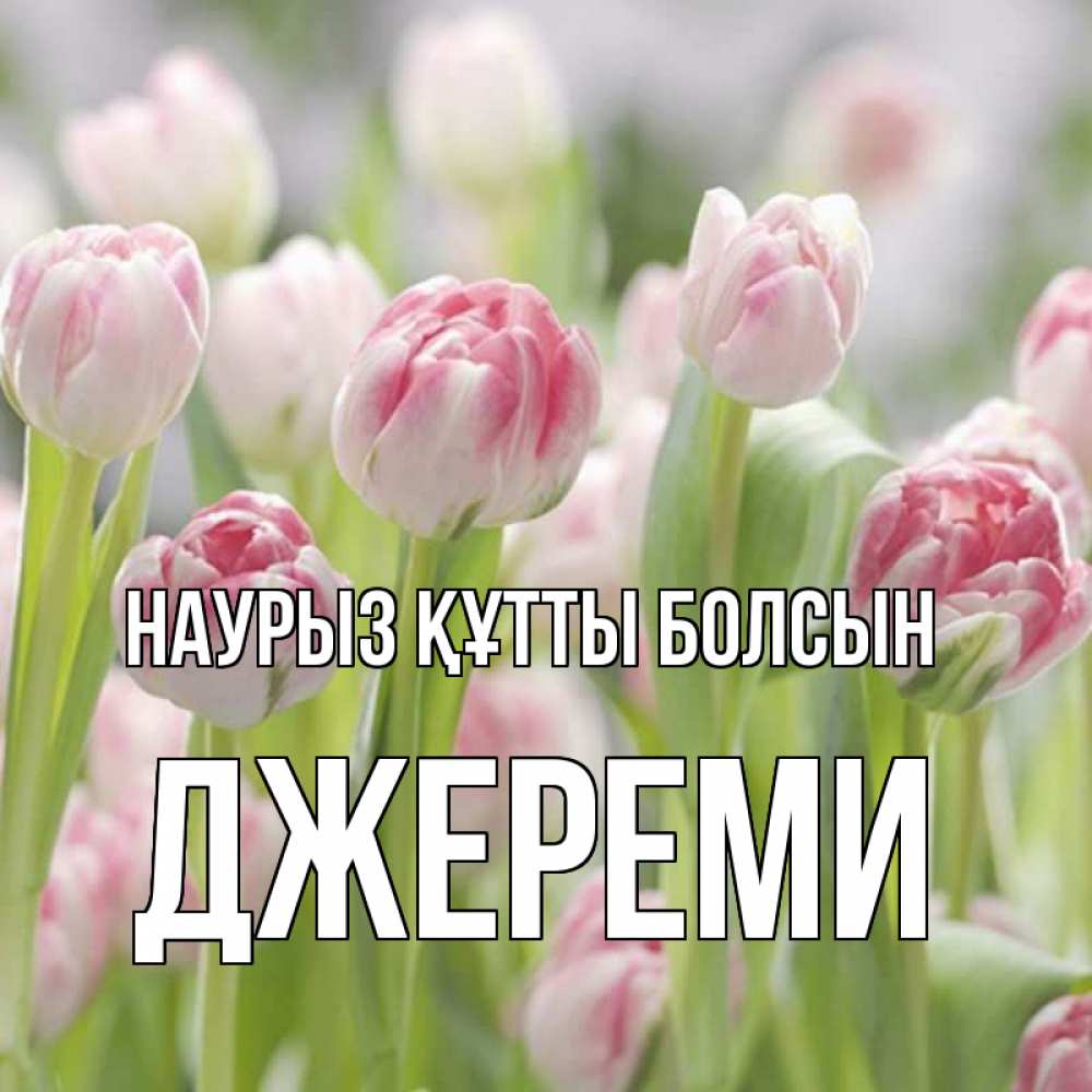 Открытка на каждый день с именем, Джереми Наурыз құтты болсын цветы Прикольная открытка с пожеланием онлайн скачать бесплатно 