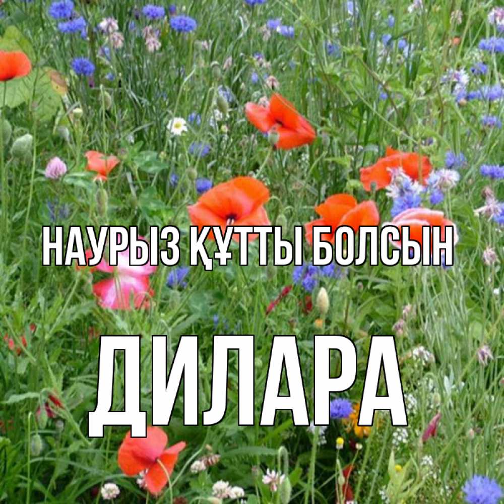 Открытка на каждый день с именем, Дилара Наурыз құтты болсын наурыз  4 Прикольная открытка с пожеланием онлайн скачать бесплатно 