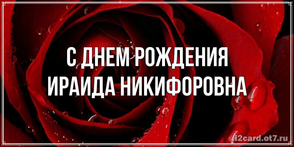 Открытка на каждый день с именем, Ираида-Никифоровна С днем рождения крупная бордовая роза Прикольная открытка с пожеланием онлайн скачать бесплатно 