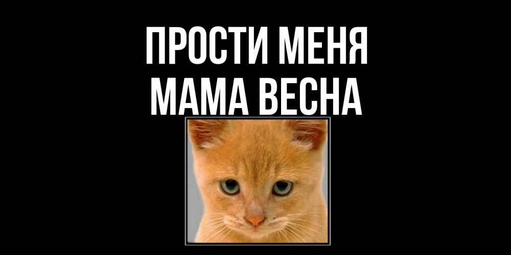 Открытка на каждый день с именем, Мама-Весна Прости меня рыжий грустный кот просит прощения Прикольная открытка с пожеланием онлайн скачать бесплатно 