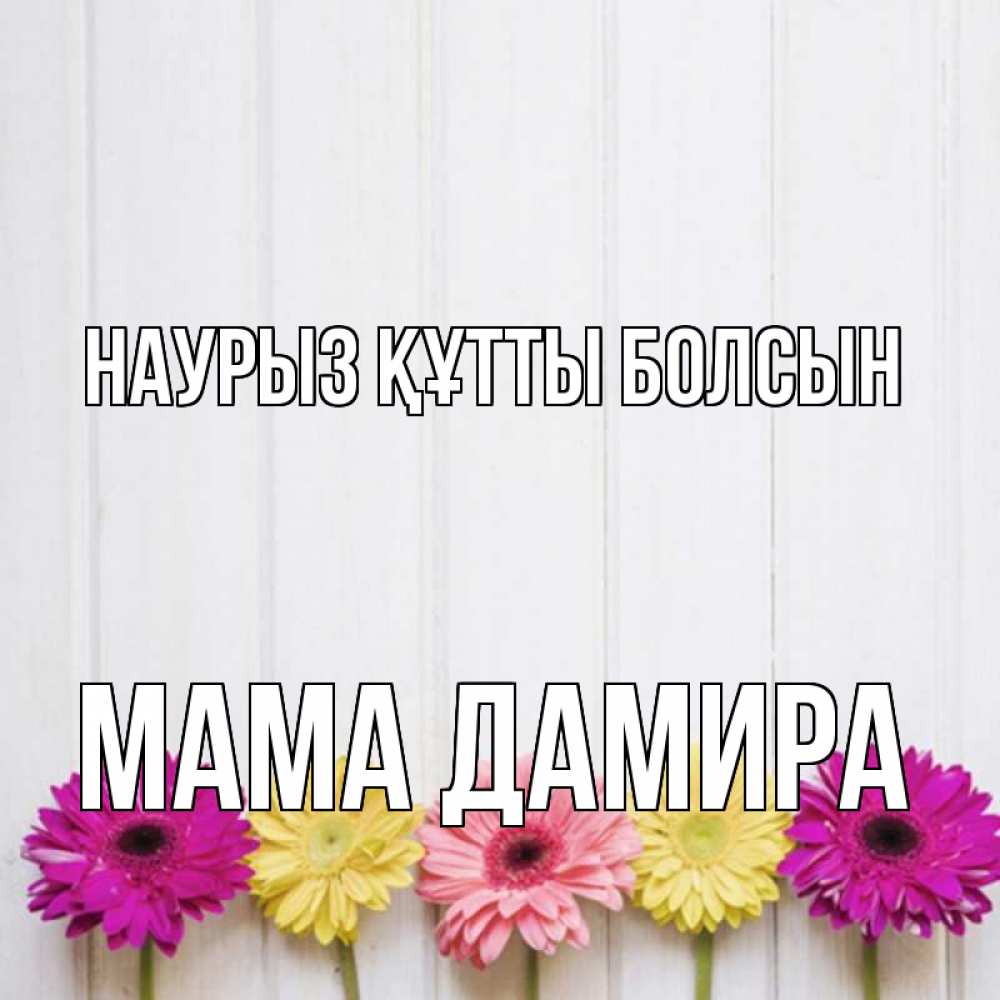 Открытка на каждый день с именем, Мама-Дамира Наурыз құтты болсын женщинам 1 Прикольная открытка с пожеланием онлайн скачать бесплатно 