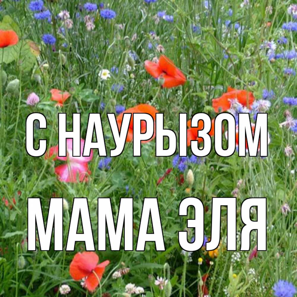Открытка на каждый день с именем, Мама-Эля С наурызом праздник весны наурыз супер открытка Прикольная открытка с пожеланием онлайн скачать бесплатно 