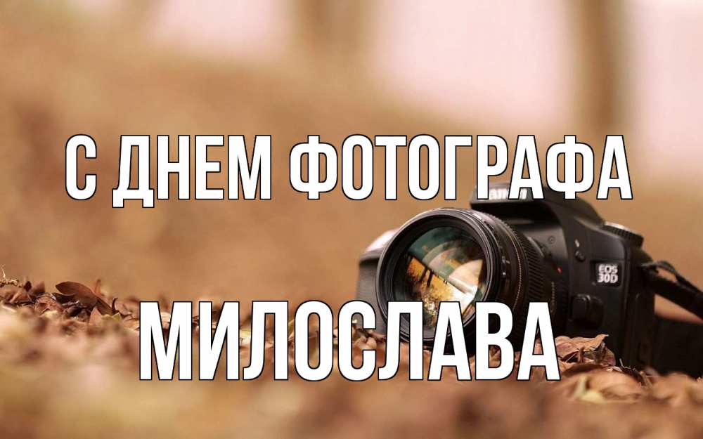 Открытка на каждый день с именем, Милослава С днем фотографа с днем фотографа Прикольная открытка с пожеланием онлайн скачать бесплатно 