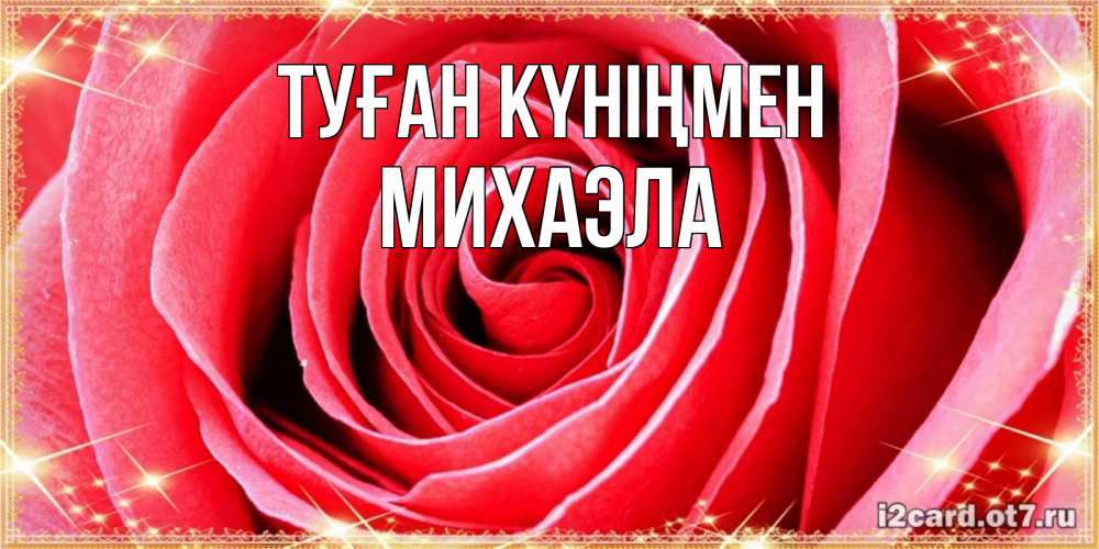 Открытка на каждый день с именем, Михаэла Туған күніңмен розовая роза очень крупный бутон Прикольная открытка с пожеланием онлайн скачать бесплатно 