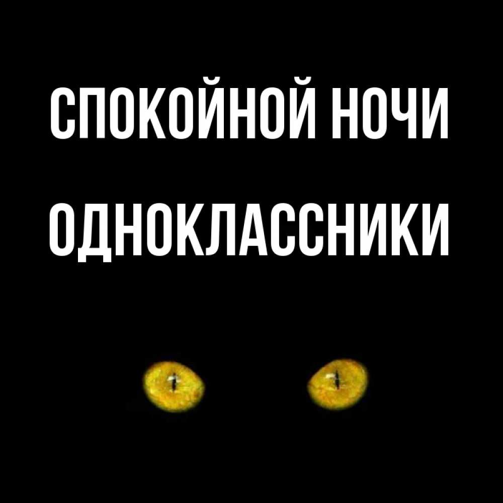 Открытка на каждый день с именем, ОДНОКЛАССНИКИ Спокойной ночи сладких снов бесстрашный мой дружочек Прикольная открытка с пожеланием онлайн скачать бесплатно 