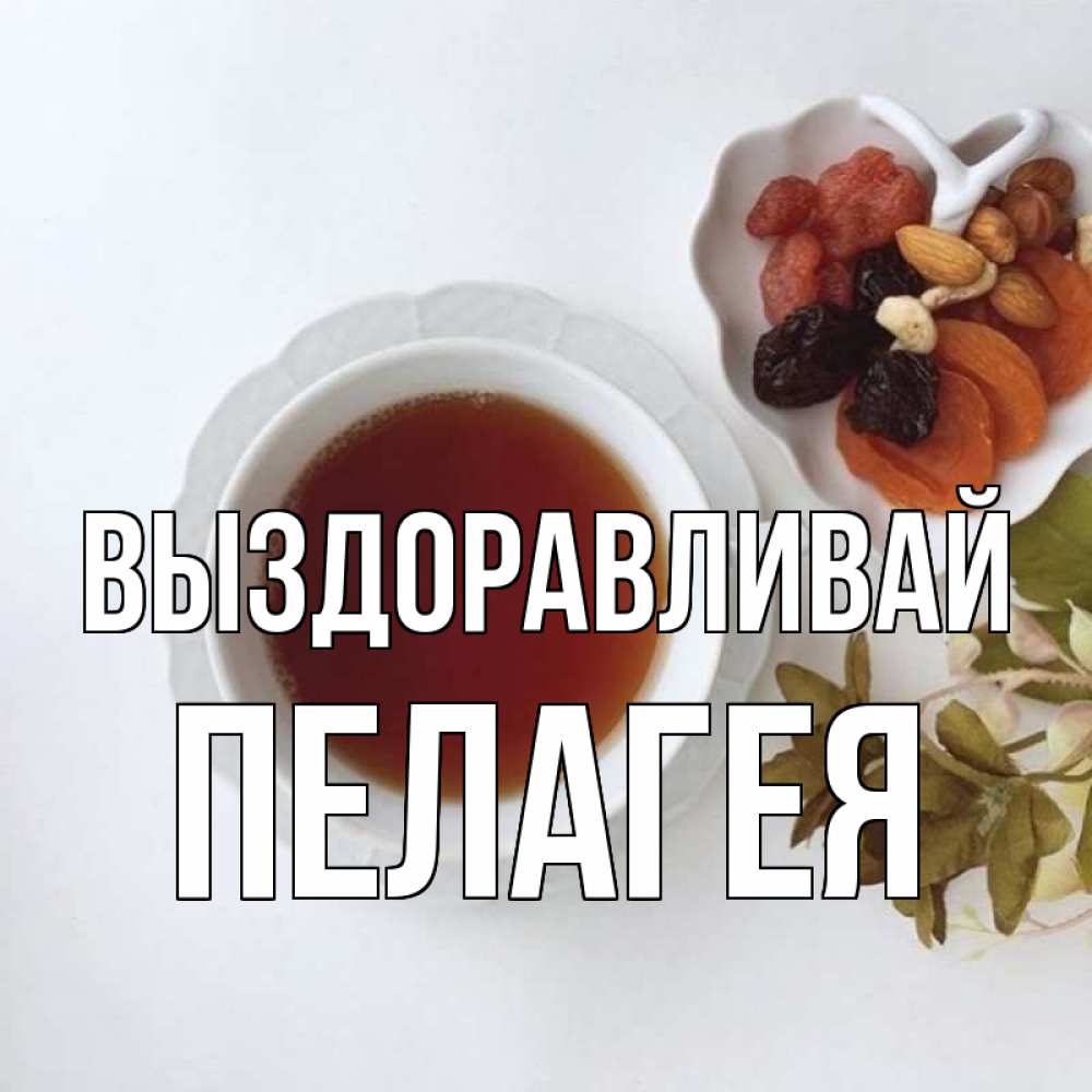 Открытка на каждый день с именем, Пелагея Выздоравливай неизвестные растения Прикольная открытка с пожеланием онлайн скачать бесплатно 