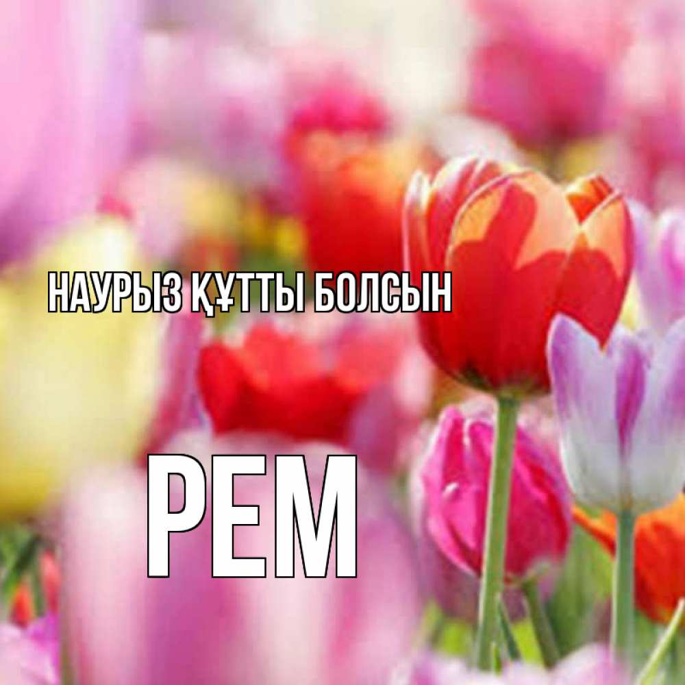 Открытка на каждый день с именем, Рем Наурыз құтты болсын на наурыз  2 Прикольная открытка с пожеланием онлайн скачать бесплатно 