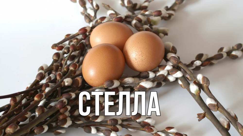 Открытка на каждый день с именем, Стелла Главная верба 1 Прикольная открытка с пожеланием онлайн скачать бесплатно 