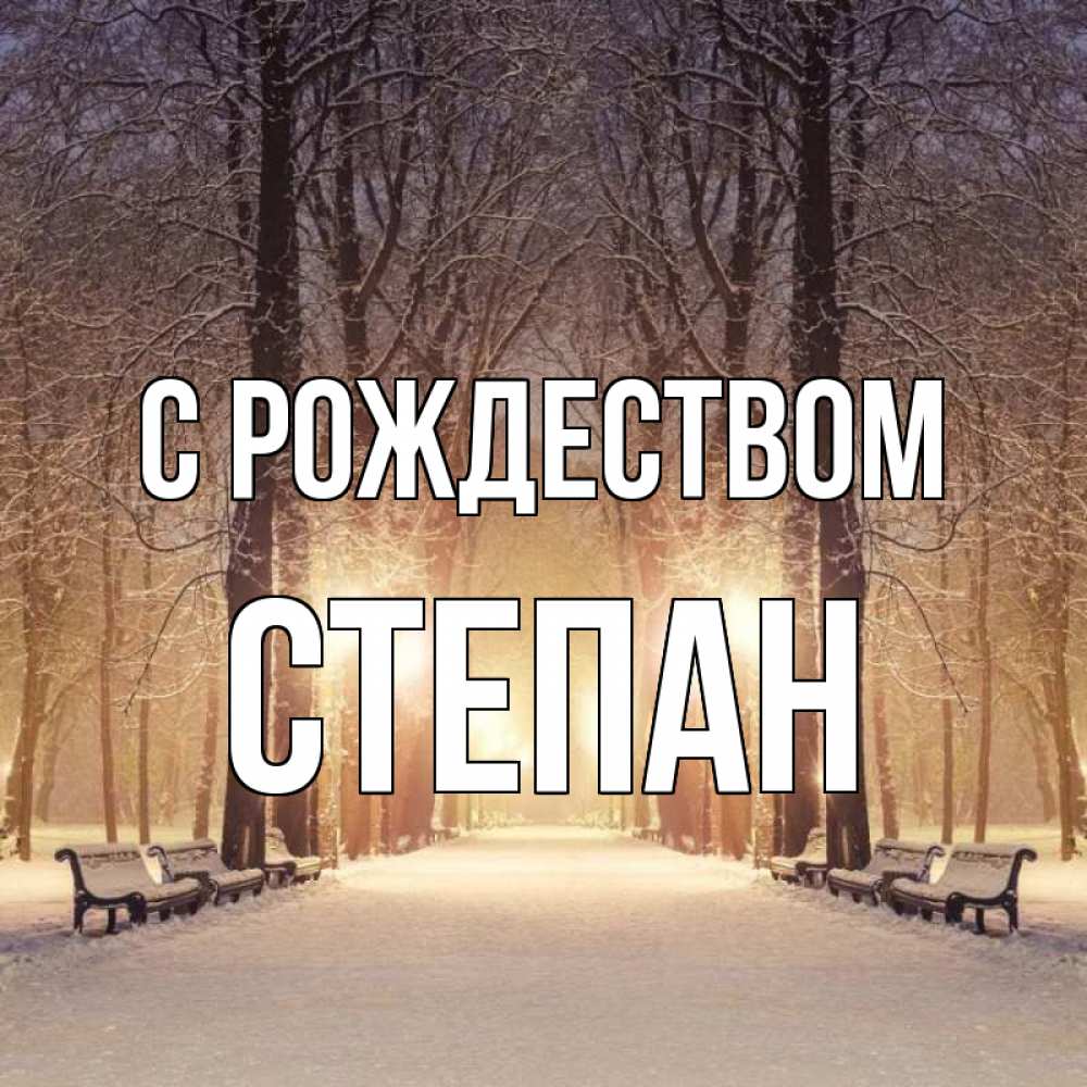 Открытка на каждый день с именем, Степан С рождеством зима, парк, фонарь, лес Прикольная открытка с пожеланием онлайн скачать бесплатно 
