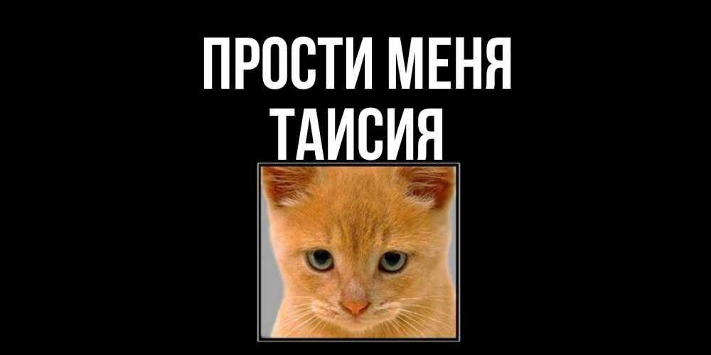 Открытка на каждый день с именем, Таисия Прости меня рыжий грустный кот просит прощения Прикольная открытка с пожеланием онлайн скачать бесплатно 