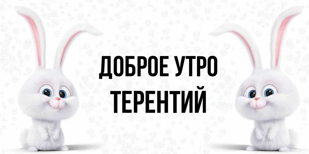 Открытка на каждый день с именем, Терентий Доброе утро кролики с длинными ушками Прикольная открытка с пожеланием онлайн скачать бесплатно 