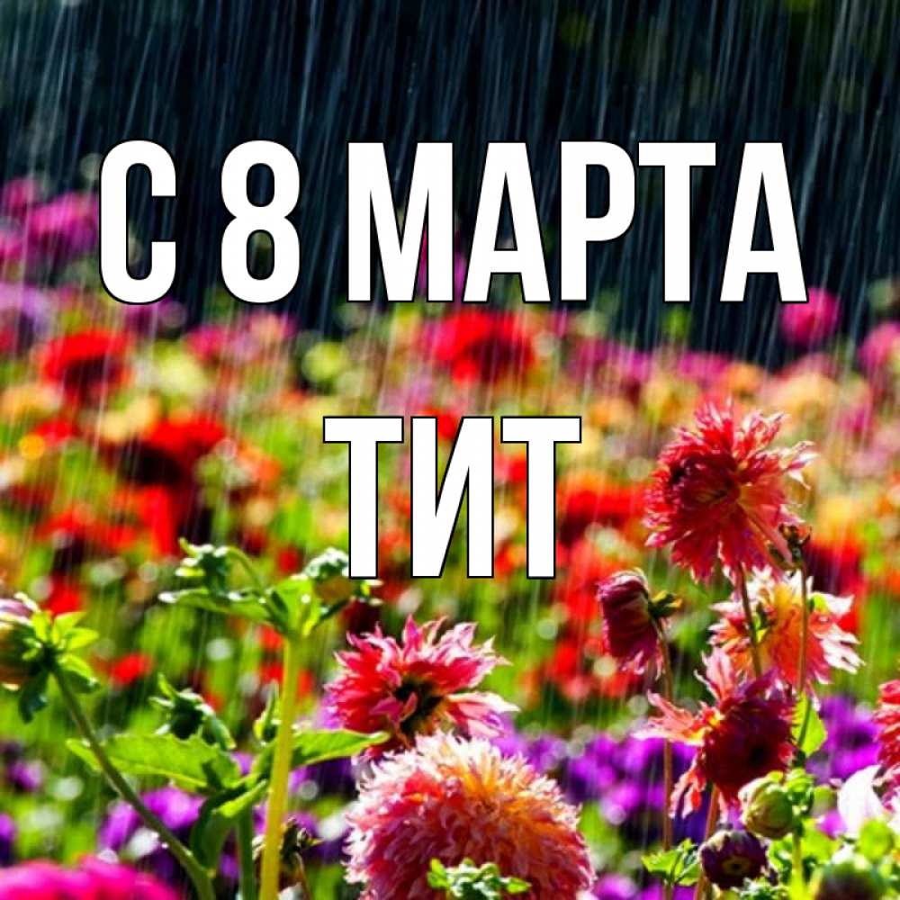 Открытка на каждый день с именем, Тит С 8 МАРТА цветы под дождиком к международному женскому дню Прикольная открытка с пожеланием онлайн скачать бесплатно 