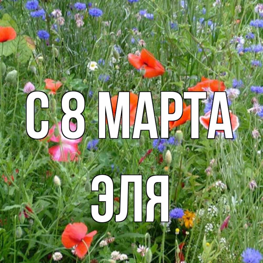 Открытка на каждый день с именем, Эля С 8 МАРТА международный женский день 4 Прикольная открытка с пожеланием онлайн скачать бесплатно 