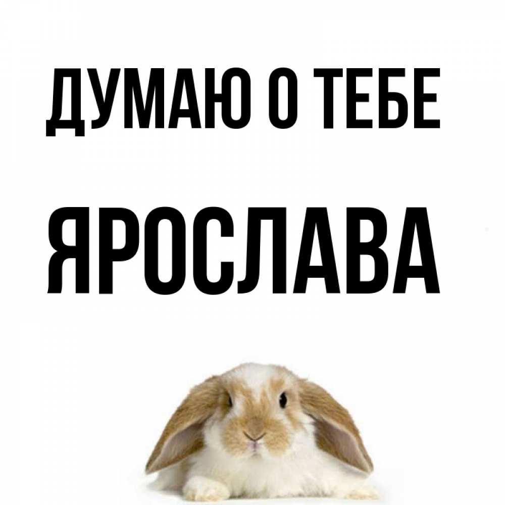 Открытка на каждый день с именем, Ярослава Думаю о тебе подписать своими руками онлайн Прикольная открытка с пожеланием онлайн скачать бесплатно 