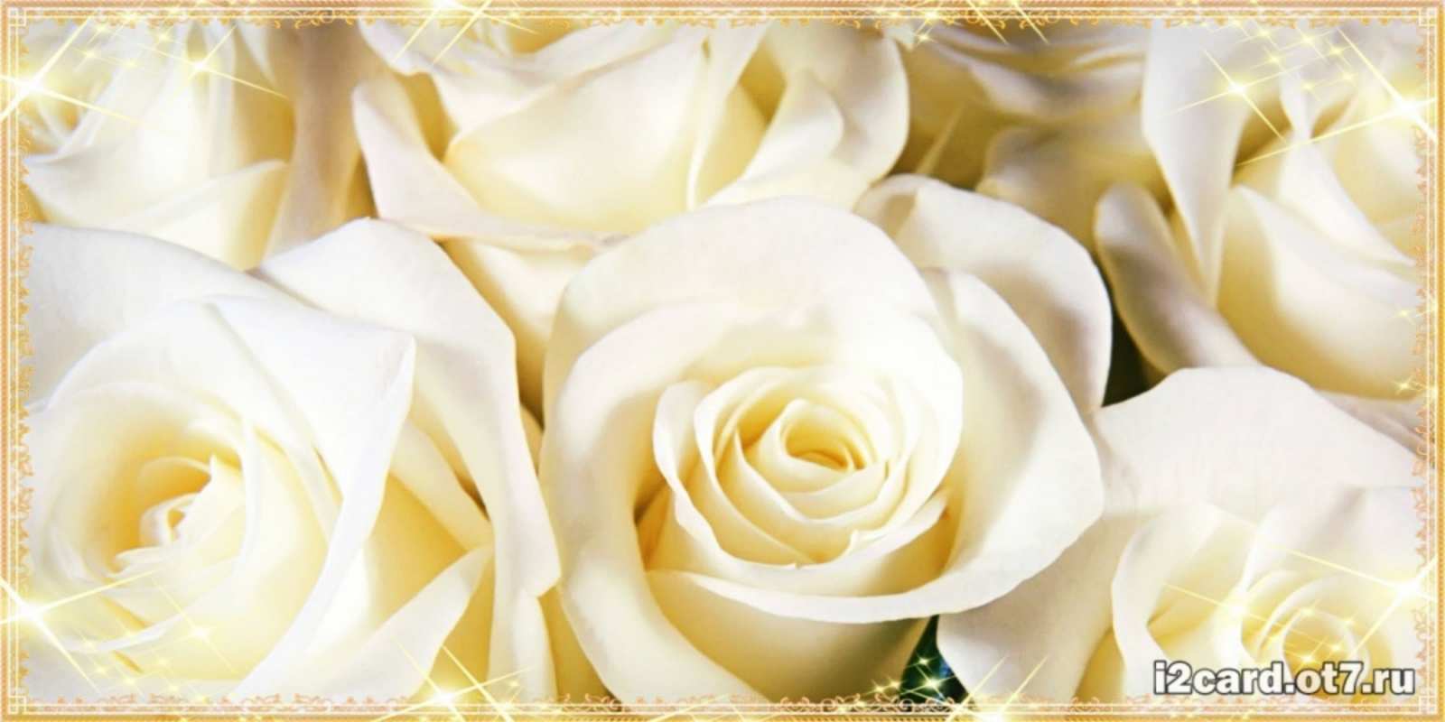 Открытка белые розы для родных людей розочки белого цвета на открытке С юбилеем 