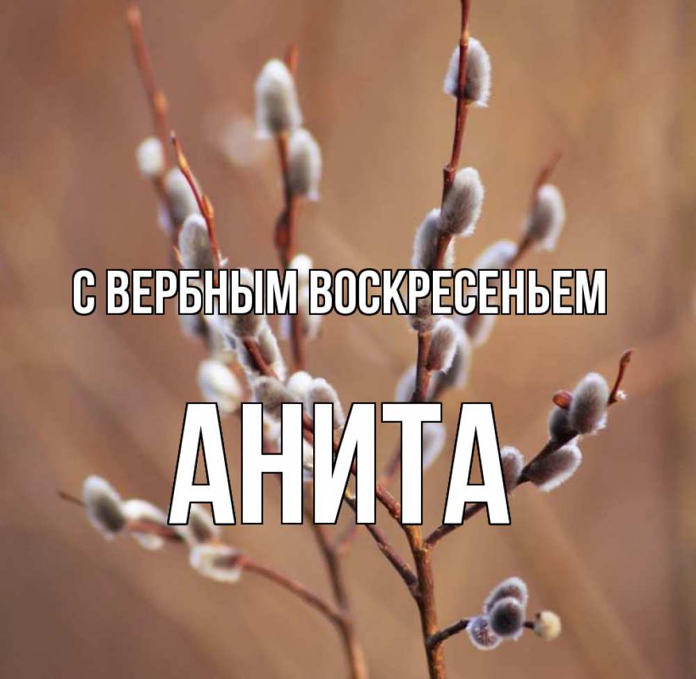Открытка на каждый день с именем, Анита С вербным воскресеньем верба Прикольная открытка с пожеланием онлайн скачать бесплатно 