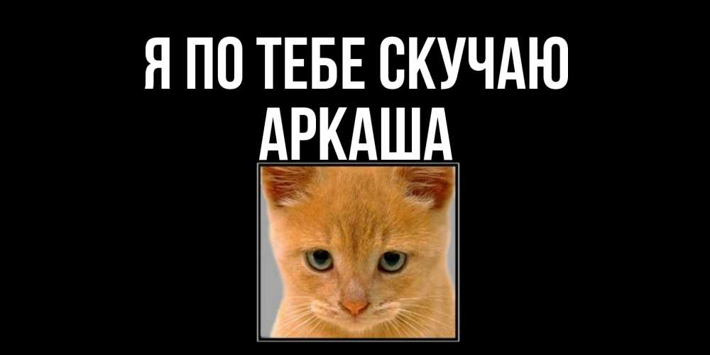 Открытка на каждый день с именем, Аркаша Я по тебе скучаю открытки рыжий котенок скучает по тебе Прикольная открытка с пожеланием онлайн скачать бесплатно 