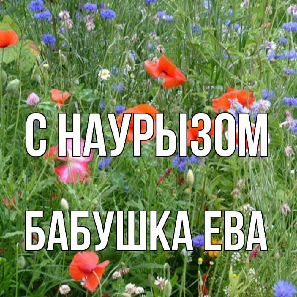 Открытка на каждый день с именем, Бабушка-Ева С наурызом праздник весны наурыз супер открытка Прикольная открытка с пожеланием онлайн скачать бесплатно 