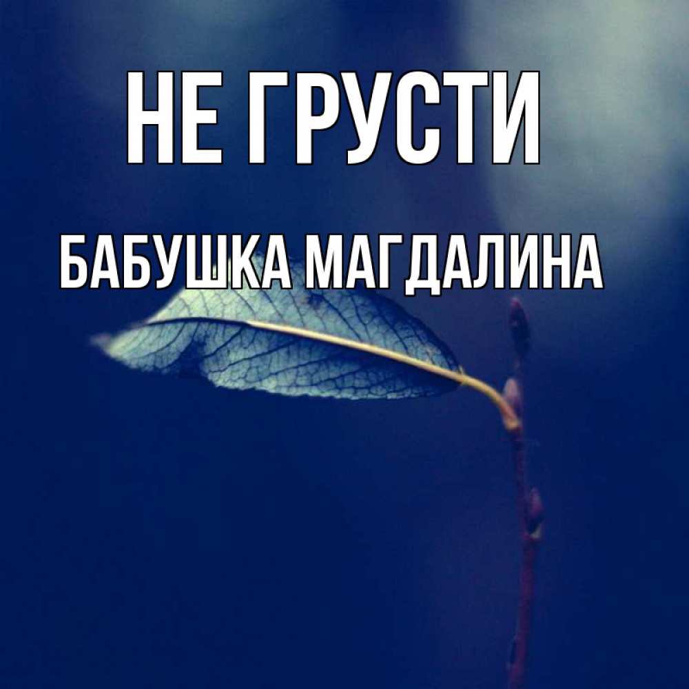 Открытка на каждый день с именем, Бабушка-Магдалина Не грусти растение Прикольная открытка с пожеланием онлайн скачать бесплатно 