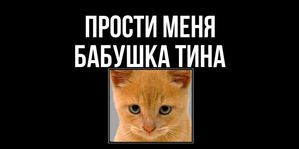 Открытка на каждый день с именем, Бабушка-Тина Прости меня рыжий грустный кот просит прощения Прикольная открытка с пожеланием онлайн скачать бесплатно 