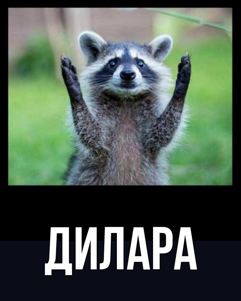 Открытка на каждый день с именем, Дилара Главная хорошее настроение утречком Прикольная открытка с пожеланием онлайн скачать бесплатно 