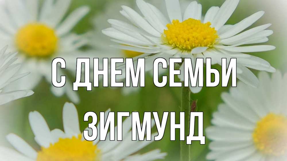 Открытка на каждый день с именем, Зигмунд С днем семьи с днем семьи  1 Прикольная открытка с пожеланием онлайн скачать бесплатно 