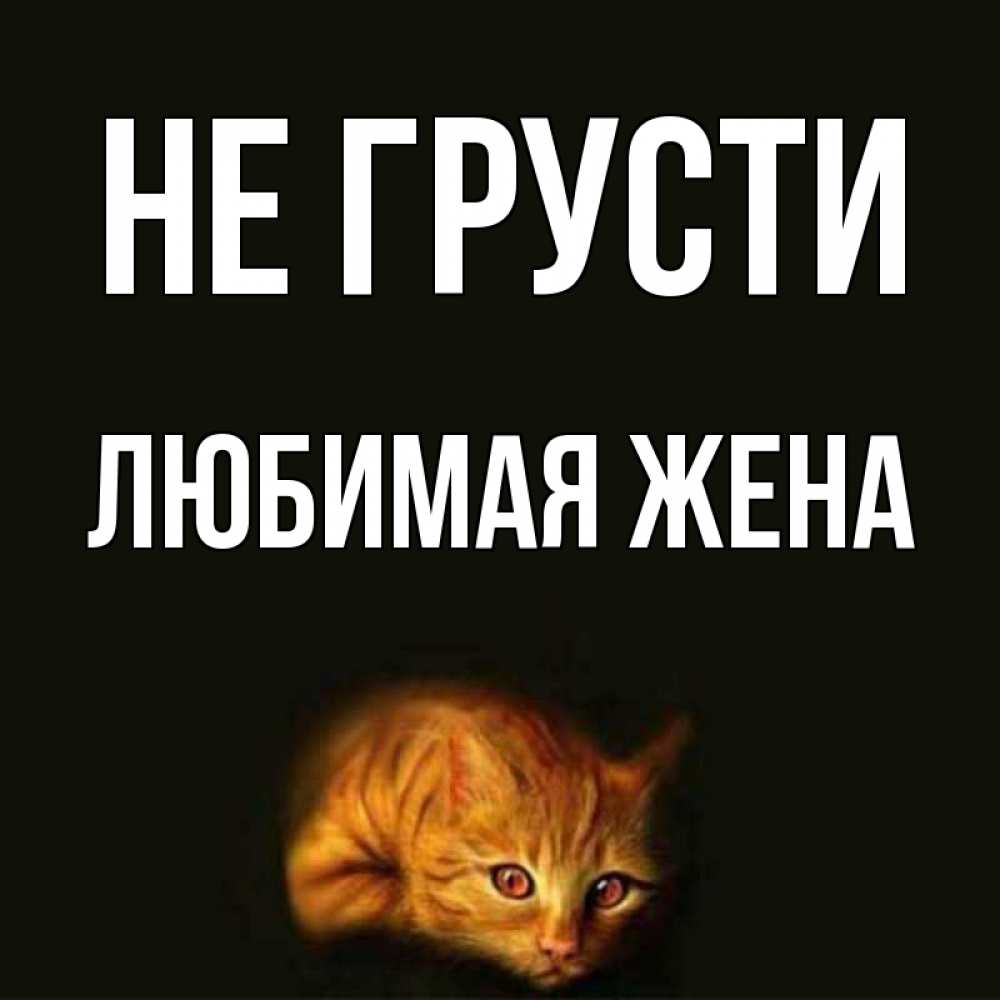 Открытка на каждый день с именем, ЛЮБИМАЯ-ЖЕНА Не грусти лежащий кот в темноте Прикольная открытка с пожеланием онлайн скачать бесплатно 