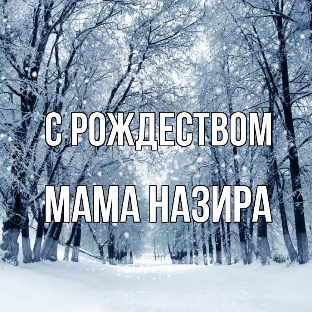Открытка на каждый день с именем, Мама-Назира С рождеством снег, лес, парк Прикольная открытка с пожеланием онлайн скачать бесплатно 