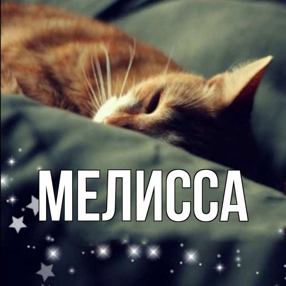 Открытка на каждый день с именем, Мелисса Главная кроватка Прикольная открытка с пожеланием онлайн скачать бесплатно 