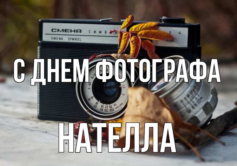 Открытка на каждый день с именем, Нателла С днем фотографа с днем фотографа Прикольная открытка с пожеланием онлайн скачать бесплатно 
