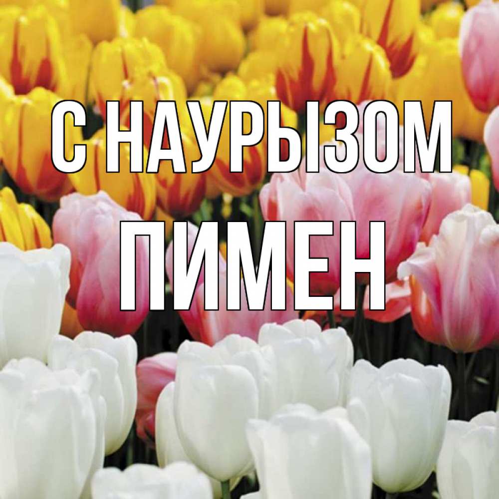 Открытка на каждый день с именем, Пимен С наурызом разноцветные цветы Прикольная открытка с пожеланием онлайн скачать бесплатно 