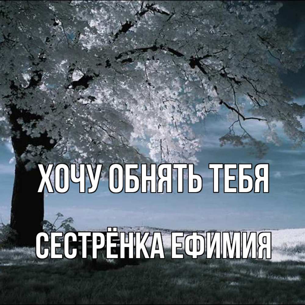 Открытка на каждый день с именем, Сестрёнка-Ефимия Хочу обнять тебя дерево Прикольная открытка с пожеланием онлайн скачать бесплатно 