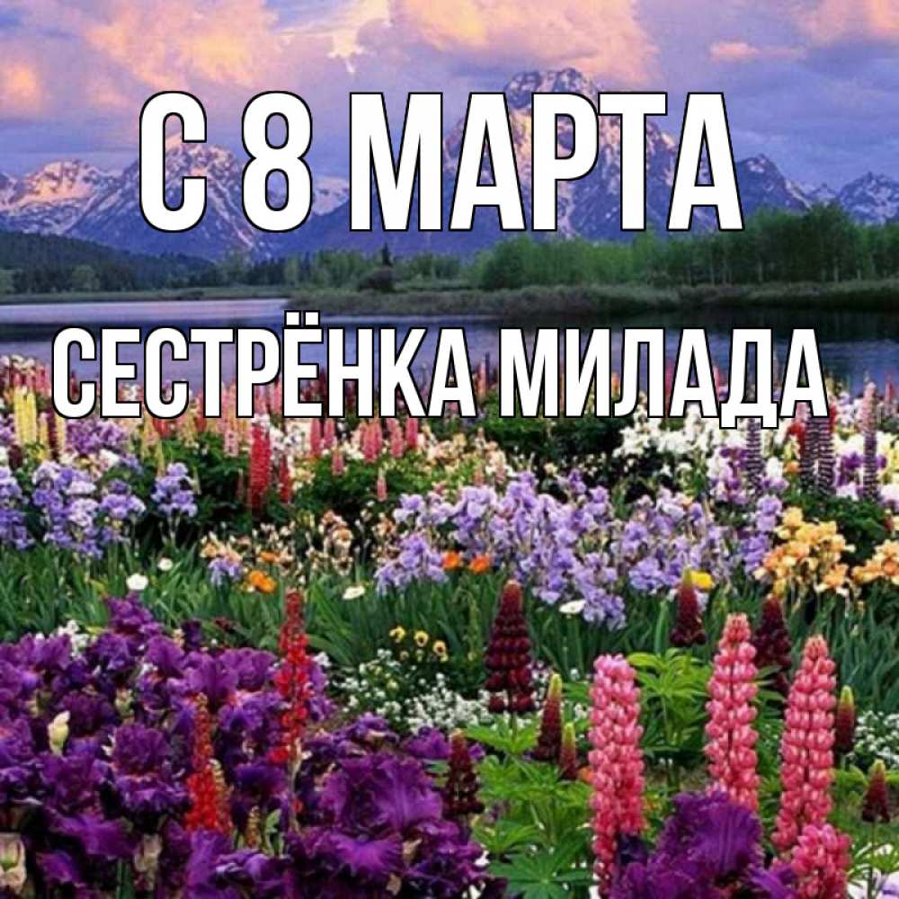 Открытка на каждый день с именем, Сестрёнка-Милада С 8 МАРТА международный женский день Прикольная открытка с пожеланием онлайн скачать бесплатно 