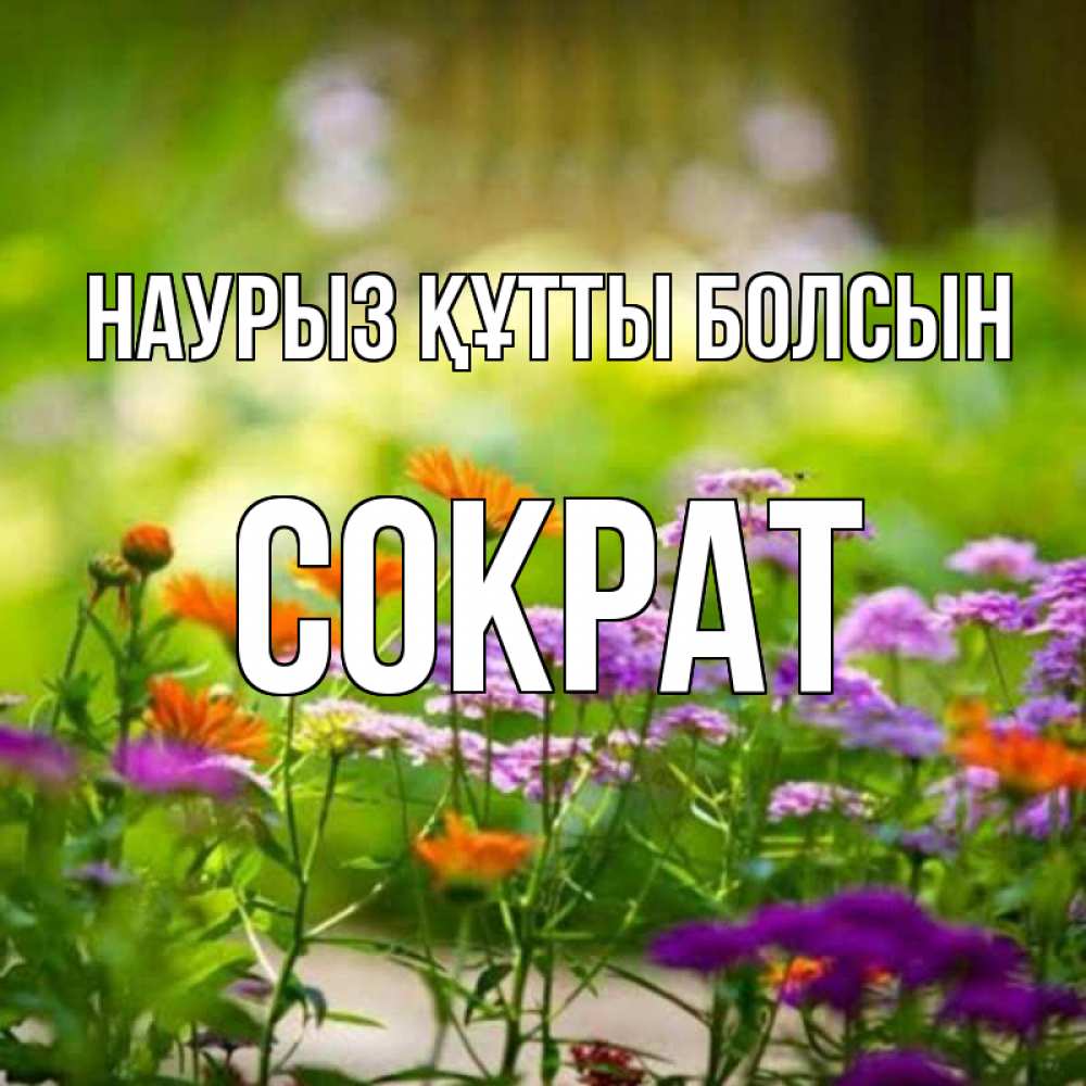 Открытка на каждый день с именем, Сократ Наурыз құтты болсын цветы Прикольная открытка с пожеланием онлайн скачать бесплатно 